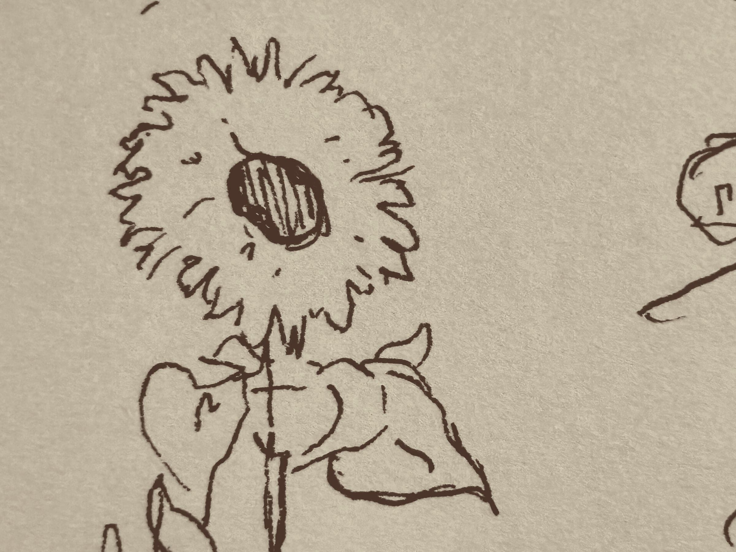 Sketch 9