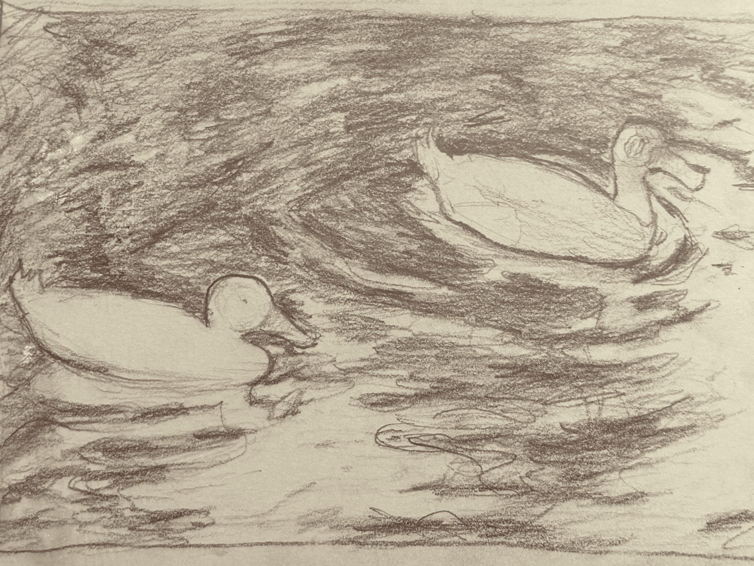 Sketch 3